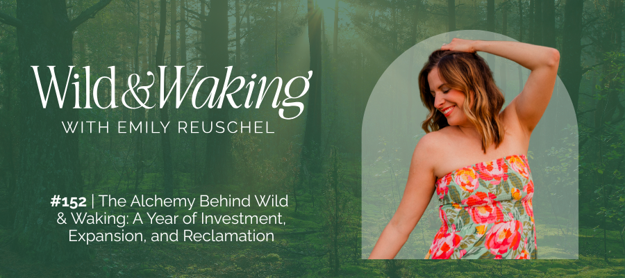 header for 152 | The Alchemy Behind Wild & Waking: A Year of Investment, Expansion, and Reclamation